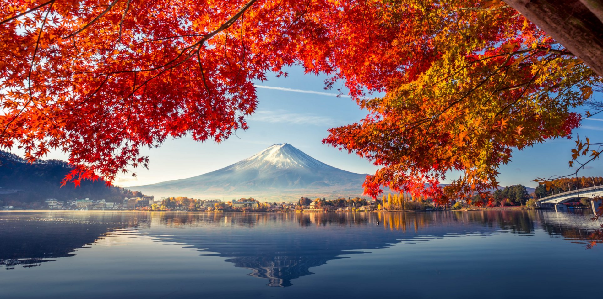 Unique Japan