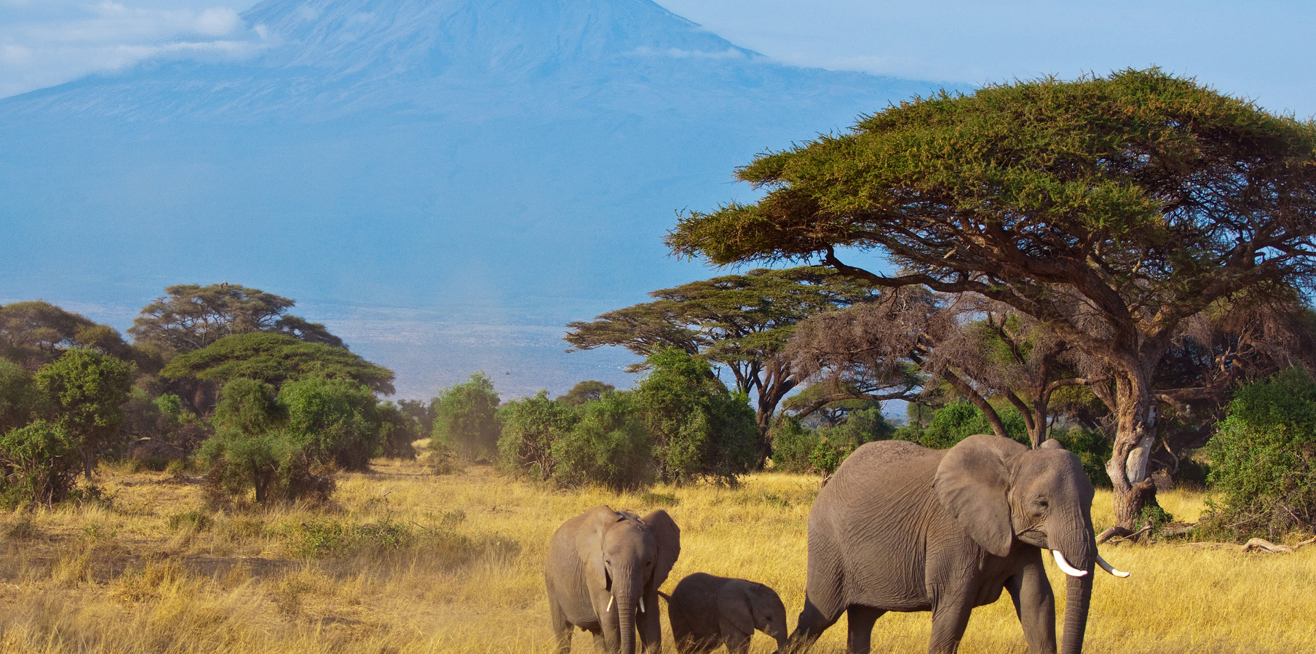 Ladies Only Kenya Adventure