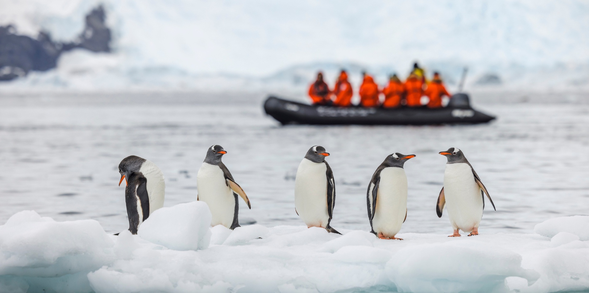 Antarctica Expedition with a Taste of Argentina