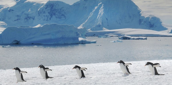 Antarctica